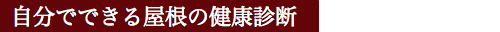 自分でできる屋根の健康診断